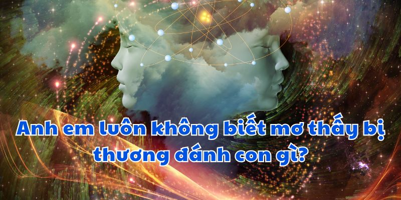 Anh em luôn không biết mơ thấy bị thương đánh con gì?